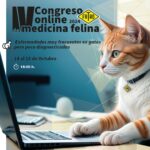 Post-Medicina-Felina1