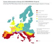 2 - Mapa distribución leishmaniosis en Europa. P Bourdeau.