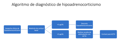 Figura 10 Algoritmo diagnóstico de hipoadrenocorticismo