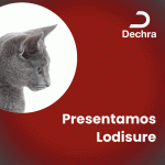 Lodisure - GIF