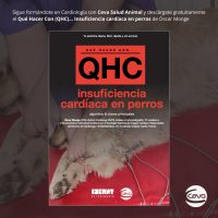 Whats-QHC-Insuficienci